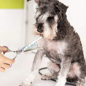 Tijeras profesionales de acero inoxidable para el cuidado de mascotas, herramientas personalizadas simples de lujo para el cabello de perros para gatos, adelgazamiento de Pomerania - Product Image 5