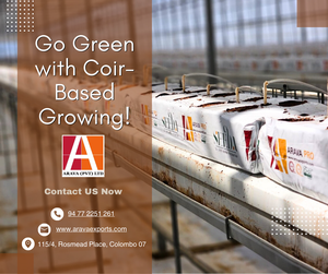 ถุงปลูกโคเคนแบบย่อยสลายได้100x15x12ซม. ขนาดกลางที่ปลูกได้เป็นมิตรกับสิ่งแวดล้อมสำหรับโรงเรือนและไฮโดรโปนิกส์ - Product Image 5