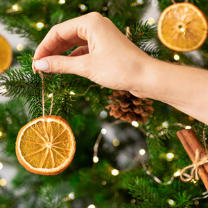 ALTA CALIDAD | Rodajas de naranja secas para bebida de té/decoración/jabón a granel para entrega desde Vietnam - Product Image 2