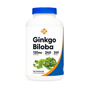 OEM Vegan funzione cerebrale e supporto alla memoria pillole integratore Halal Ginkgo Biloba organico capsule 60mg