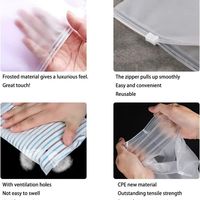 Fermeture à glissière givrée caractéristique PVC Poly matériel stockage du public utilisation de voyage protection Durable avantage sacs d'impression personnalisés
