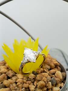 Custom Fancy Solitaire 100% Satisfacción 14K 18K Oro Compromiso Boda Diamante Anillo VVS Lab Grown 925 Plata Regalos Fiestas - Product Image 6