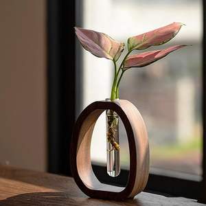 Vase en bois artisanal avec tube à essai en verre transparent pour la propagation des plantes, accessoire de décoration minimaliste pour la maison, moderne - Product Image 2