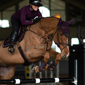 Fly Bonnet สำหรับม้าที่ครอบหูโครเชต์ระบายอากาศได้ดีน้ำหนักเบาซักได้ใส่สบายทำจาก in pakistan - Product Image 6