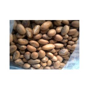 Garcinia Kola ออร์แกนิคสดใหม่พร้อมส่งและรับประกันคุณภาพ - Product Image 4