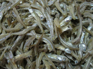 ANCHOIS SÉCHÉS EN GROS/APPROVISIONNEMENT EN VRAC DE QUALITÉ SUPÉRIEURE/PRODUITS DE FRUITS DE MER NATURELS/HOT DEAL TOP SALES EXPORTATION - Product Image 5