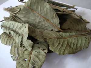 Vietnam prix compétitif pour la vente feuilles de goyave séchées naturelles à bas prix et de haute qualité - Product Image 3