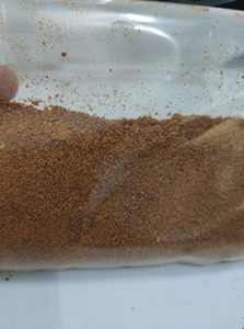 Polvo GAC Premium de fabricantes, polvo GAC de etiqueta privada GOTU KOLA POWDER 5,29 Oz - Product Image 2