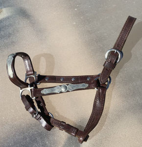 Cabestro suave acolchado negro y azul y plomo de cuero con cadena Cabestro de caballo de acero inoxidable de la India - Product Image 2