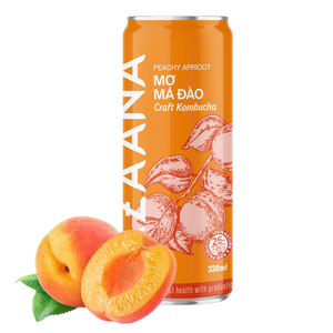 Kombucha buena calidad melocotón albaricoque vitamina buen embalaje personalizado al por mayor hecho en Vietnam fabricante - Product Image 4