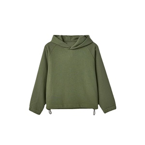 เสื้อฮู้ดดี้แบบสวม Unisex ผ้าฝ้าย 100% ไซส์ใหญ่พิเศษ ผ้าฟลีซสำหรับฤดูหนาว สกรีนโลโก้ได้ ป้องกันรอยยับ เนื้อผ้าถักแบบกันหนาว สไตล์สตรีทแวร์ สีพื้น - Product Image 3