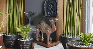 PARIJAT HANDICRAFT Estatuilla de camello de latón hecha a mano Diseño Art Deco Ecológico Durable Chino Fengshui Animales decorativos para - Product Image 2