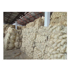 Fibre de jute brut blanc naturel de haute qualité anti-bactéries écologiques cultivées au Bangladesh vente en gros de jute bon marché d'exportation mondiale - Product Image 5
