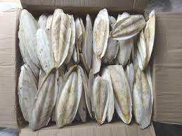 Hueso de Sepia Seco al por Mayor, Suministro Directo de Fábrica, Calidad Premium, Excelentes Precios - Product Image 3