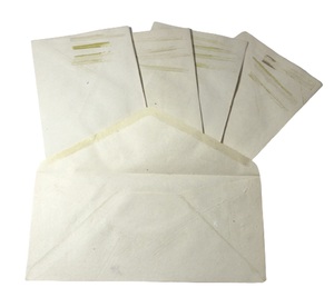 Ensemble de papeterie haut de gamme en papier de coton recyclé fait à la main, impressions de feuilles fraîches aux coins, enveloppes haut de gamme - Product Image 2