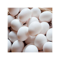 Œufs de poule biologiques frais de ferme, coquille blanche, fécondés, pour l'incubation et la consommation, origine américaine, durée de conservation 1 an