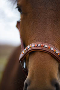 Halter équestre en cuir de cognac orange et cristal New High Quality Horse Leather Halter smart - Product Image 4
