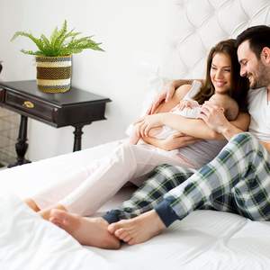 Panier de jardinière en jonc de mer Pots de plantes naturelles Conteneurs Couvercle de pot de plantes tissé à la main avec doublure en plastique étanche - Product Image 2