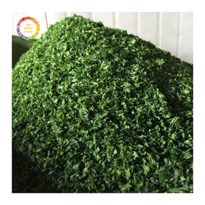 Poudre d'algues vertes laitue de mer alimentation animale de haute qualité à prix compétitif - Product Image 5