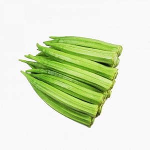 OKRA CONGELADA LISTO PARA USAR/COLOR RETENIDO Y EMBALAJE CRISP / BULK EXPORT - Product Image 2