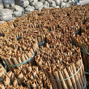 อบเชยจากรถราง - Product Image 3