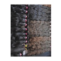 Perruque en cheveux naturels brésiliens Remy ondulés, vierges et non traités, double trame, vente en gros, modèle HAM-0161