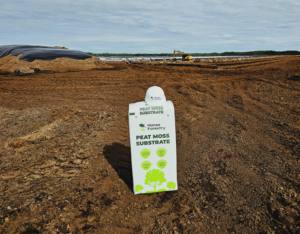 Turba Sphagnum de origen BALTICO de Letonia directo de fabrica para grandes contenedores para plantas Arboles Arbustos Tierra - Product Image 2