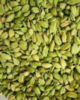 Cardamome verte fraîche de qualité supérieure naturelle, épice Elachi, provenant d'une usine d'Afrique du Sud, pour la vente en gros de cardamome sèche