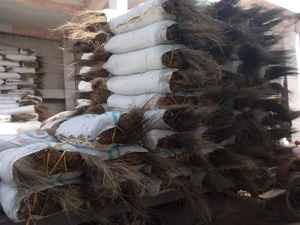 Escobas y Recogedores al por Mayor, Material de Palo de Escoba de Coco Limpiado para Hacer Escobas de Jardín - Product Image 3