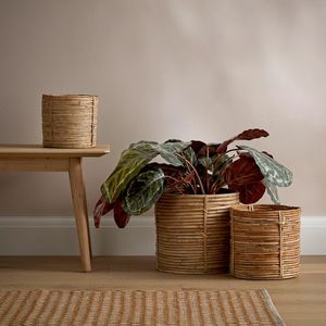 Macetas decorativas hechas a mano de hierro tejido de ratán, diseño personalizado, macetas para interiores y exteriores, macetas hechas a mano - Product Image 1