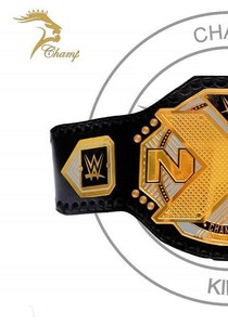 CUSTOMIZED CHAMPIONSHIP BELTS ! WORLD WRESTLING CHAMPION SHIP BELTS - Product Image 3