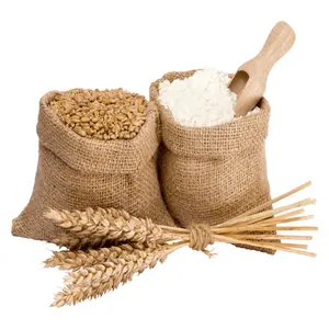 Farine de blé pour le pain, blé quatre pour la cuisson, farine de blé blanc à prix raisonnable