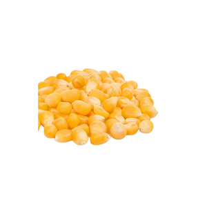 Verduras amarillas naturales de alta calidad, venta al por mayor - Product Image 1