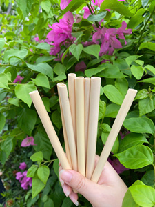 Meilleures ventes de pailles écologiques 100% pailles en bambou biodégradables et réutilisables/pailles de thé à bulles en bambou par Eco2go Vietnam - Product Image 2