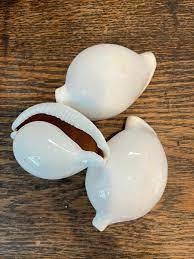 Coquillages de conque et cauri de qualité supérieure | Décoration naturelle de la mer | Exportation en vrac du Vietnam - Product Image 2