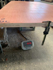 Kego - Suelo de Contrachapado para Contenedores T5 de 28 mm, 60 kg, Fabricante - Product Image 5