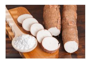 [Best Seller] Venta al por mayor de almidón de tapioca de Vietnam-Los productos de alta calidad cumplen con los estándares de exportación con un precio competitivo - Product Image 5