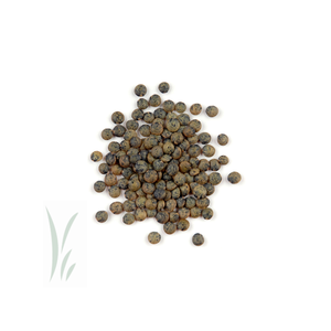 Proveedor al por mayor de lentejas verdes enteras canadienses de calidad superior, existencias frescas de 1000kg orgánicas secas a granel - Product Image 3