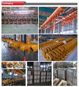 Customized 500 Kg <b>Manual</b> Control Chain <b>Hoist</b> Construction Electric <b>Hoist</b> for Light Duty Gantry Crane - Product Image 6