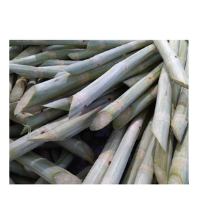 Varillas de caña de azúcar recién peladas congeladas para exportación de Vietnam empacadas para uso global en la fabricación de alimentos, bebidas y catering - Product Image 6