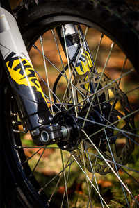 Original Sur Black Light Bee Original y disponible para envío inmediato con entrega a domicilio - Product Image 4