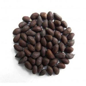 Semillas de algodón orgánico secas de grado premium al mejor precio al por mayor - Product Image 1