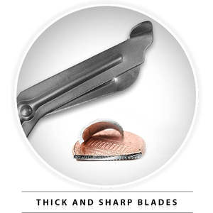 Ciseaux paramédicaux médicaux professionnels Bandage coupe premiers soins Instruments chirurgicaux dentaires - Product Image 2