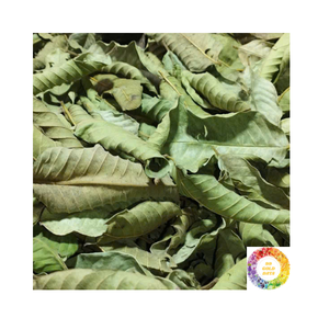 Vente en gros de thé naturel en feuilles de goyave emballage personnalisé de qualité supérieure mélange d'herbes thé séché en feuilles de goyave pour boisson chaude ou froide - Product Image 5
