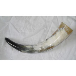 Corne à boire Viking polie - Cadeau d'affaires imperméable pour tous - Product Image 1