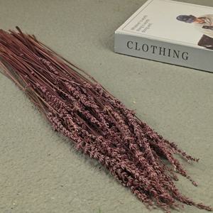 Fleurs séchées de lavande éternelle 70g Plantes de <span class=keywords><strong>chambre</strong></span> à coucher <span class=keywords><strong>et</strong></span> aide au sommeil DIY Décoration de fleurs artificielles pour la maison Salon - Product Image 2