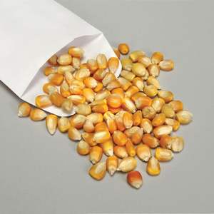 Alimento Orgánico de Calidad para Animales, Maíz Blanco Natural Seco Sin Gluten, Fabricante Exportador - Product Image 3