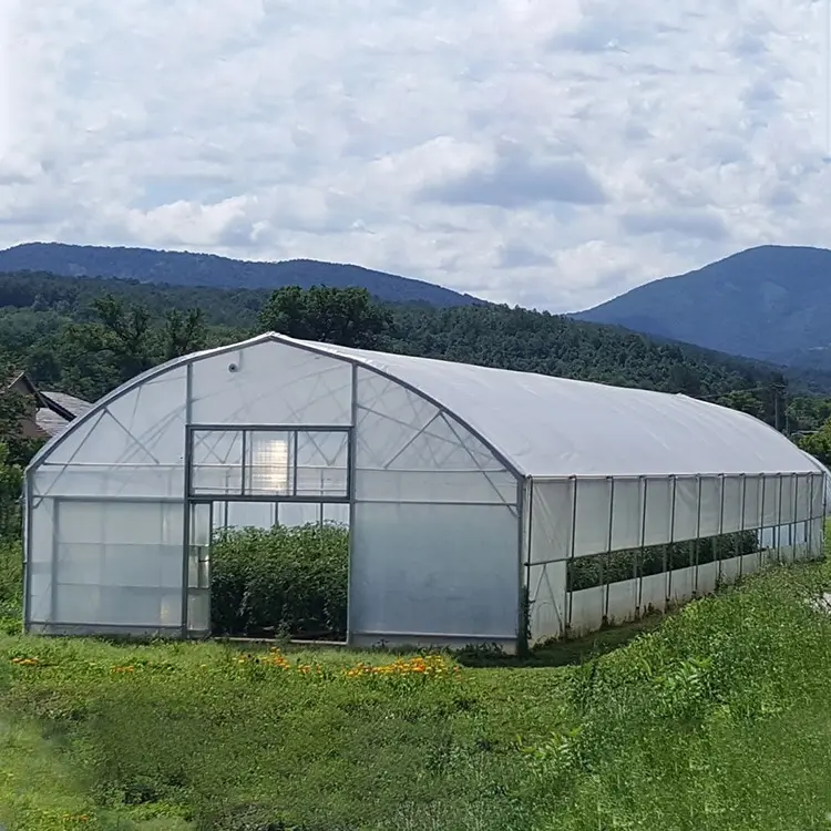 Tek açıklıklı çelik yeşil ev metal çerçeve plastik Film tünel sebze tohumları domates sera tarım sera