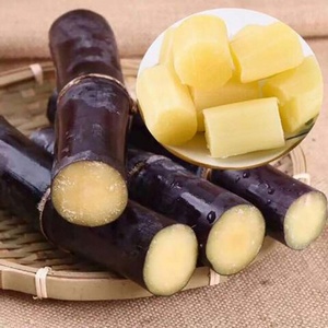 PÂTES DE CANNE | CONGELÉS & BIOLOGIQUES | PREMIUM VIETNAM - Product Image 2