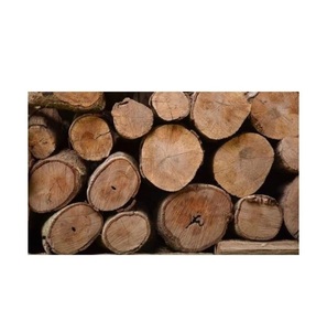 Bûches d'eucalyptus séchées au four – Bois conforme ISPM 15 pour l'exportation et le commerce international - Product Image 1